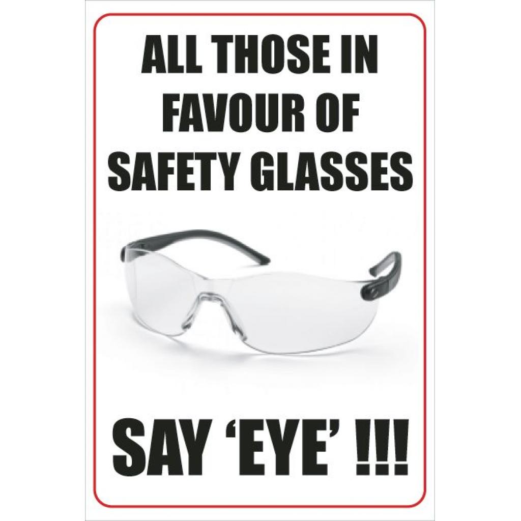 All Those In Favour Of Safety Glasses Say Eye Poster 1253