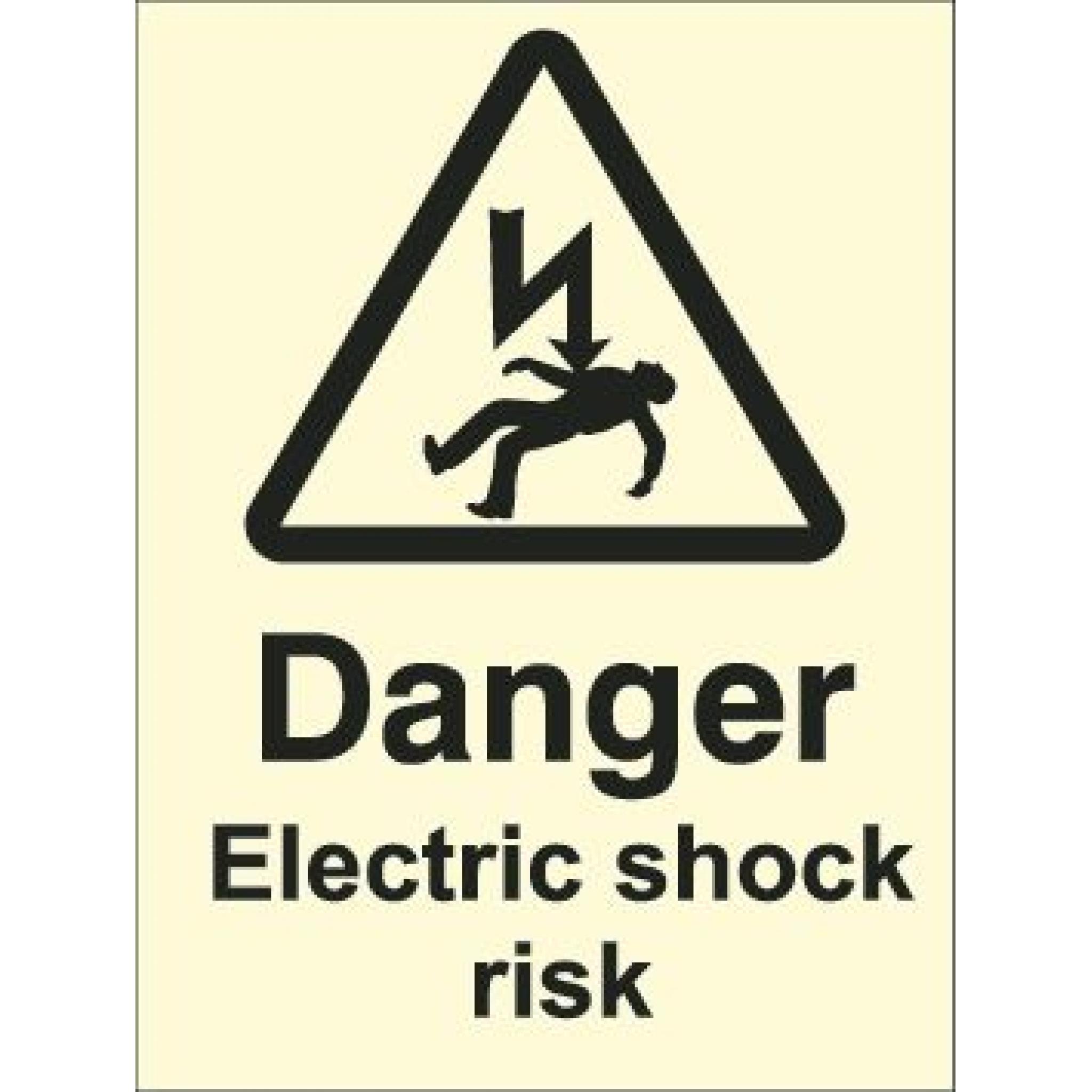 Danger Electric shock risk (Photoluminescent)