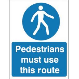 pedestrians-must-use-this-route-351-p.jpg