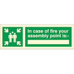 in-case-of-fire-your-assembly-point-is-photoluminescent-3065-p.jpg