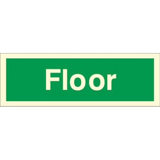 Floor (Photoluminescent)